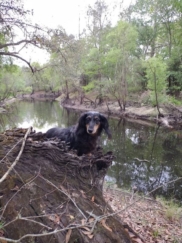 Dade City Parks - Image 2
