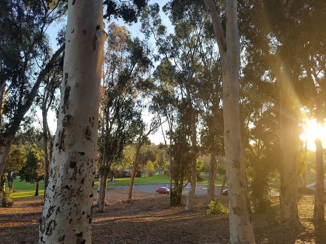 Rohr Park - Image 1