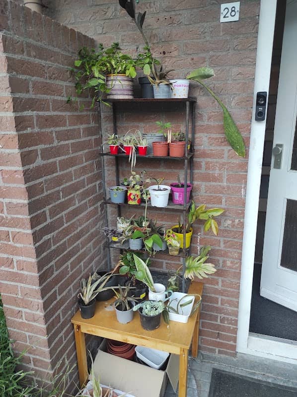 Plantenbieb enkhuizen - Image 1