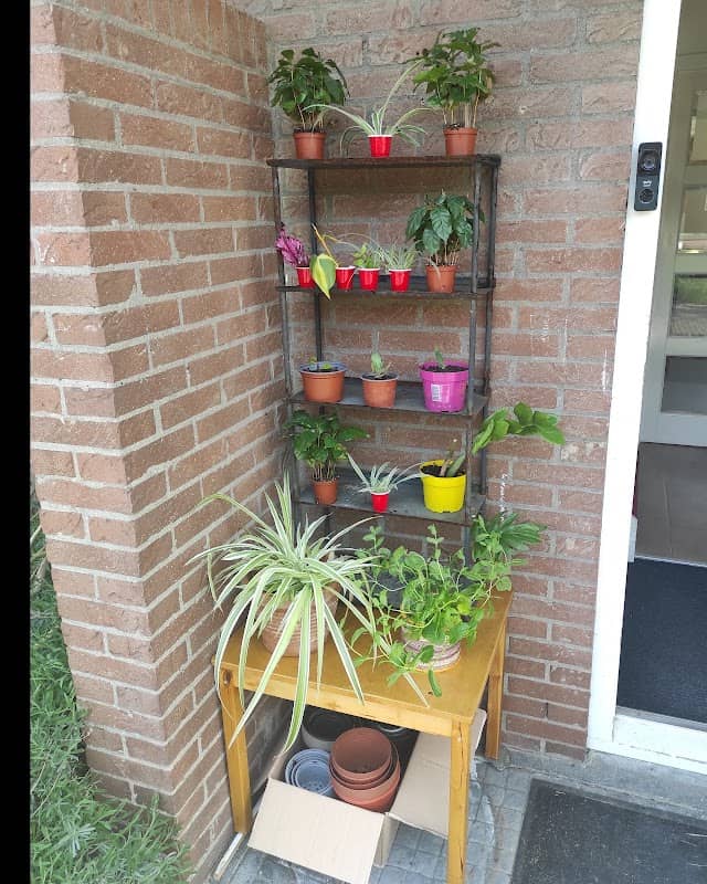 Plantenbieb enkhuizen - Image 2