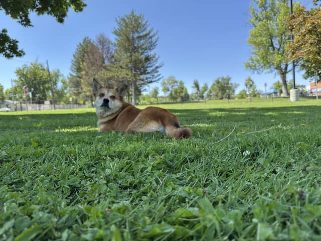 Barde Park - Image 2
