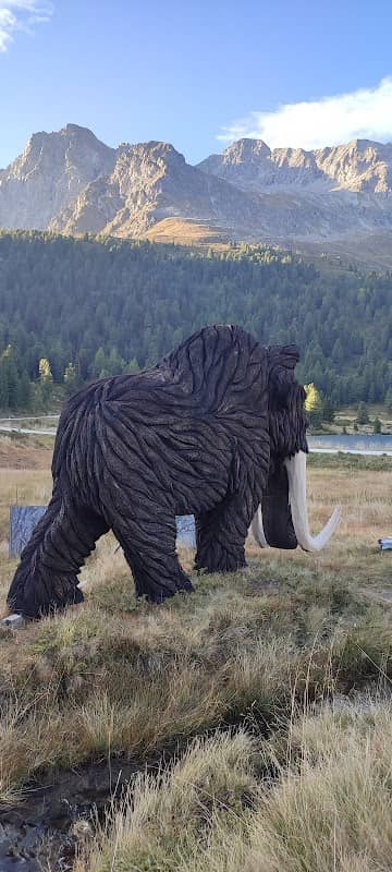 Mammut am Sattel - Image 1
