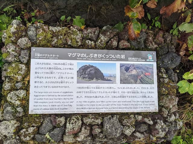 大型のアグルチネート - Image 2