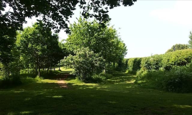 Newent Arboretum - Image 1