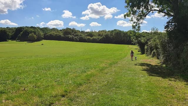 Langdon Hills Recreational Ground - Image 2