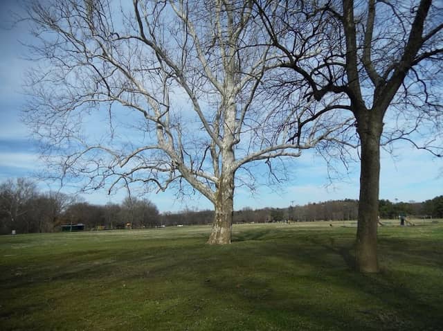 Meadow Park - Image 1