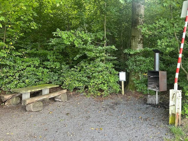Bütikofen Waldecke - Image 2