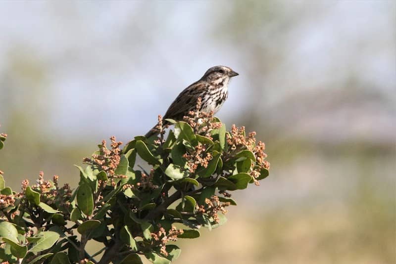Mill Creek Wetlands - Image 2