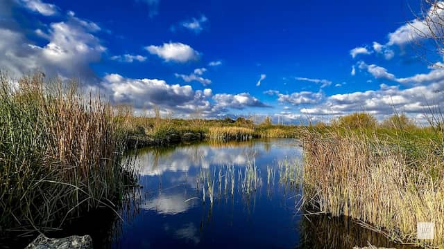 Mill Creek Wetlands - Image 1