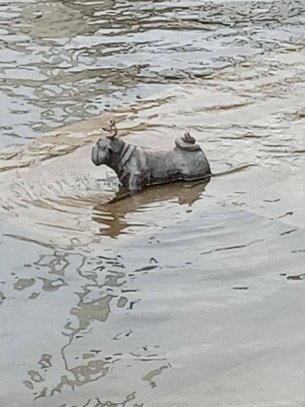 Mops mit Pumpe Loriot - Image 1
