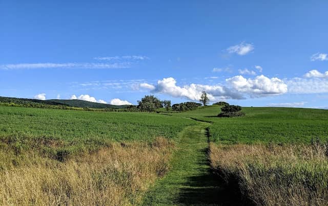 Roeliff Jansen Park - Image 1