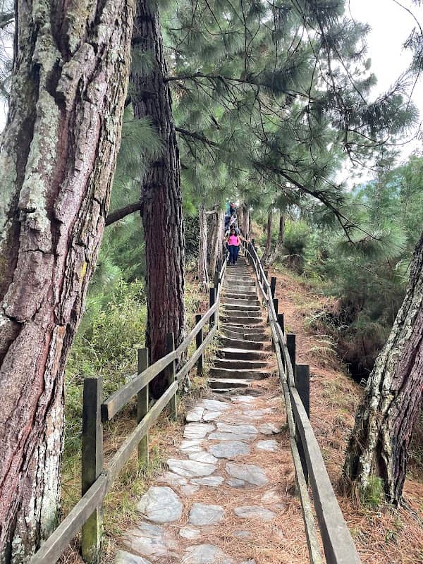Mirador Cañón del Combeima - Image 1