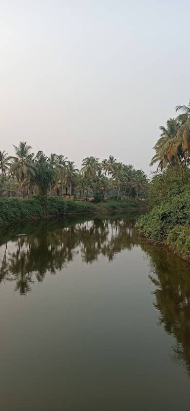 Aloor Bridge - Image 1