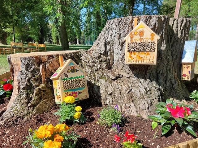 Bee Hotel San Mauro Mare - Image 1