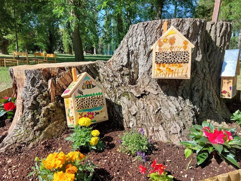 Bee Hotel San Mauro Mare - Image 1