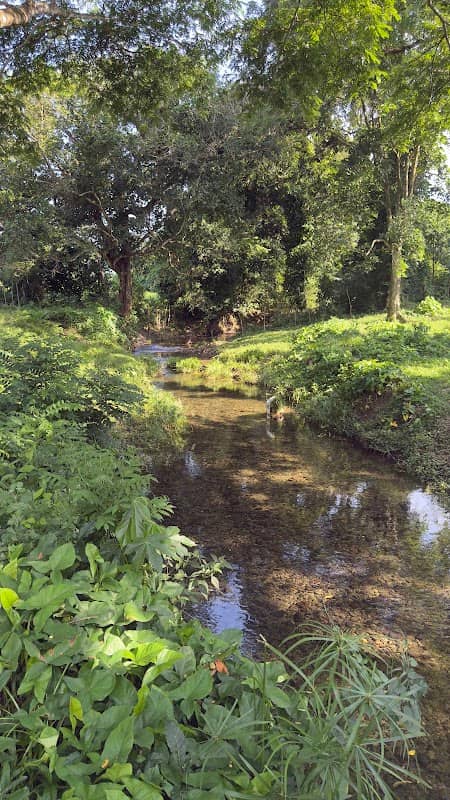 Arroyo Terrero - Image 1