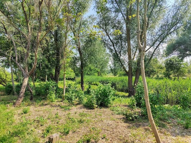 Welterbepfad - Image 1