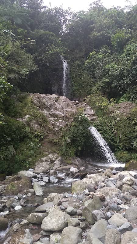 Curuk haneut - Image 3