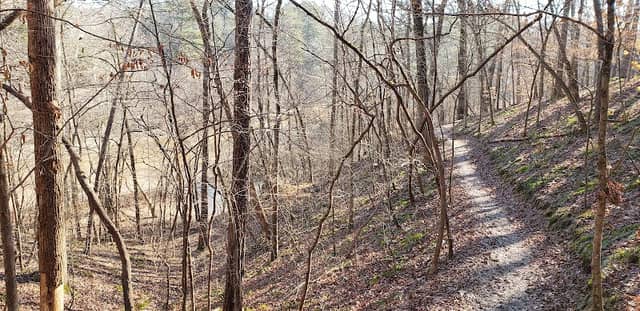 Taylor Randahl Memorial Bike Trails - Image 1