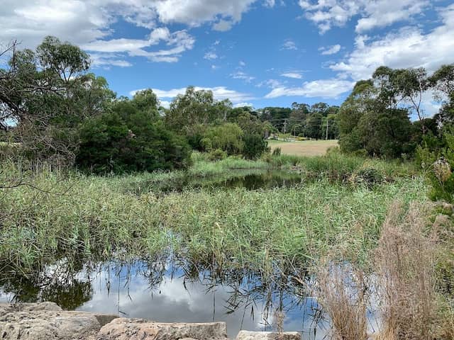 Essex Park Retarding Basin - Image 2