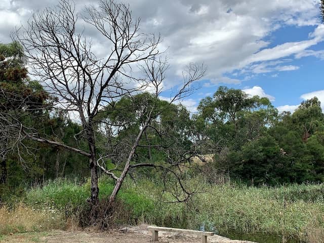 Essex Park Retarding Basin - Image 1