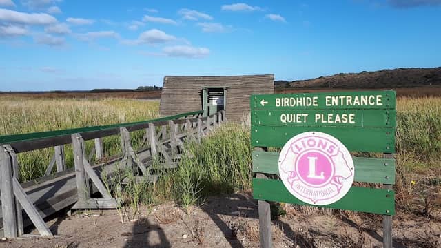 Bird Hide - Image 2