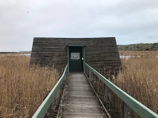 Bird Hide - Image 1