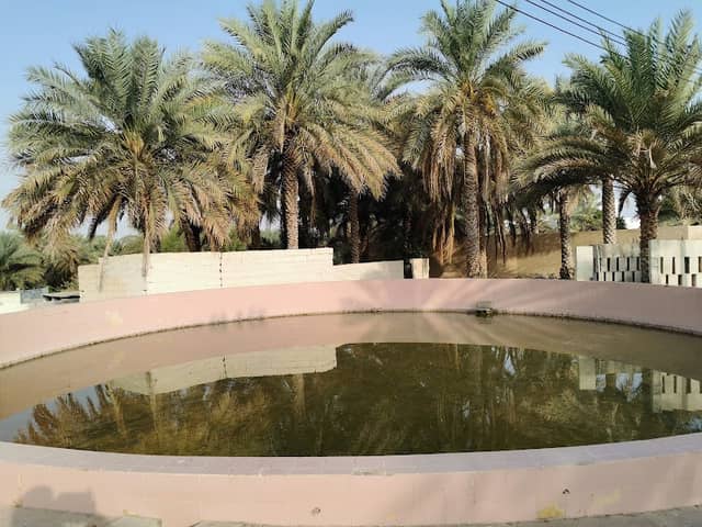 Ain Ghala - Image 1