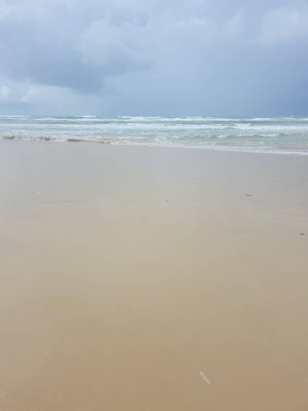 Narrowreck Beach Gold Coast entry point - Image 3