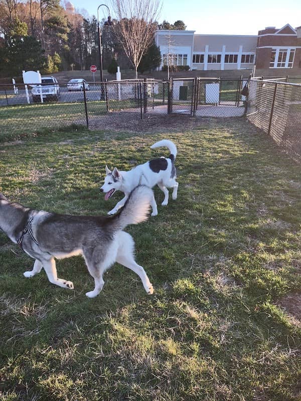 Scottie Yard Dog Park - Image 1