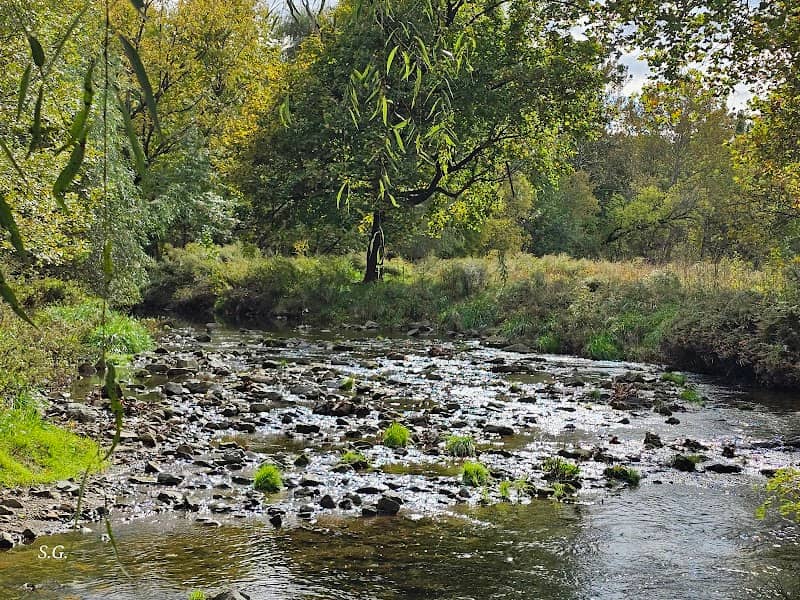 Trout Creek Park - Image 2