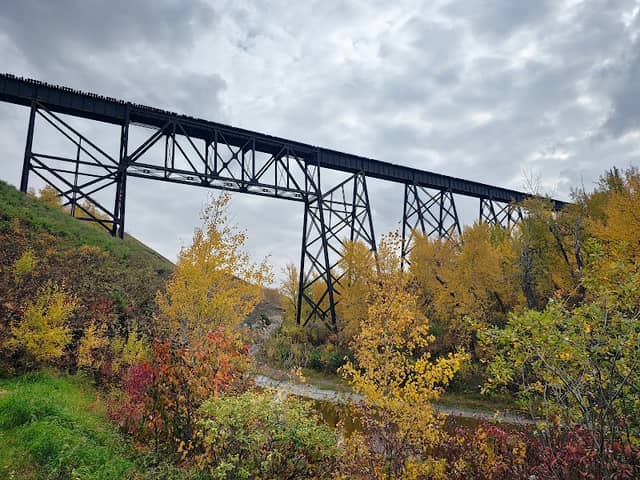 12 Foot Davis Events Park - Image 1