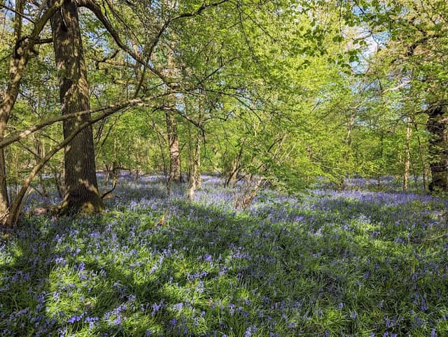 Peacock Meadows - Image 1