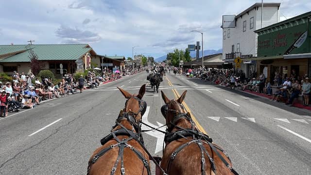 Mule Days Parade - Image 2