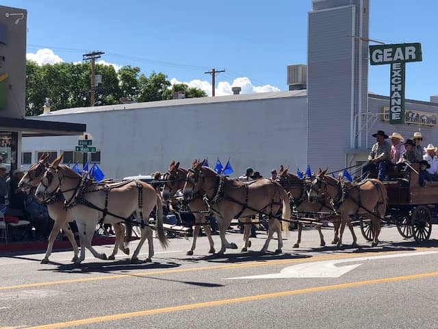 Mule Days Parade - Image 3