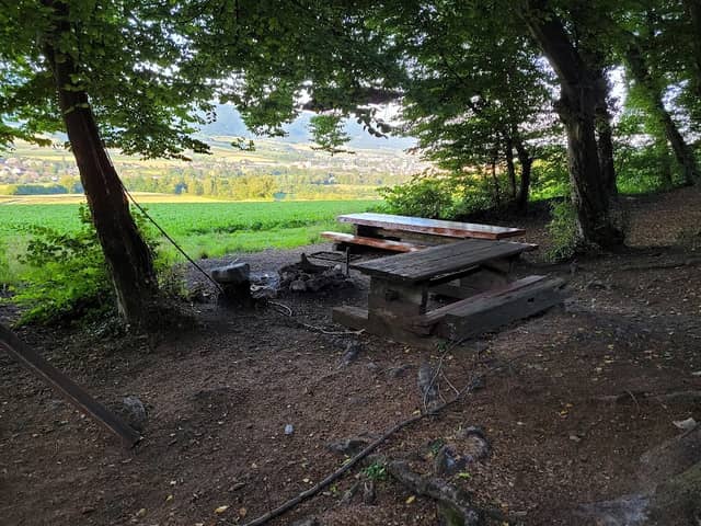 Forêt des Esserts - Image 1