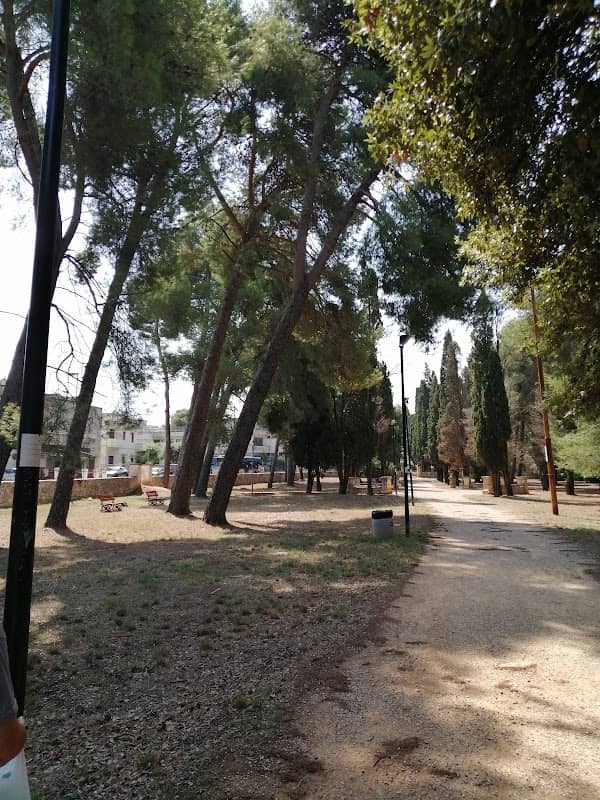 the Pillars Park - Image 1