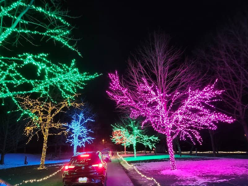 Joy Through The Grove - Image 2