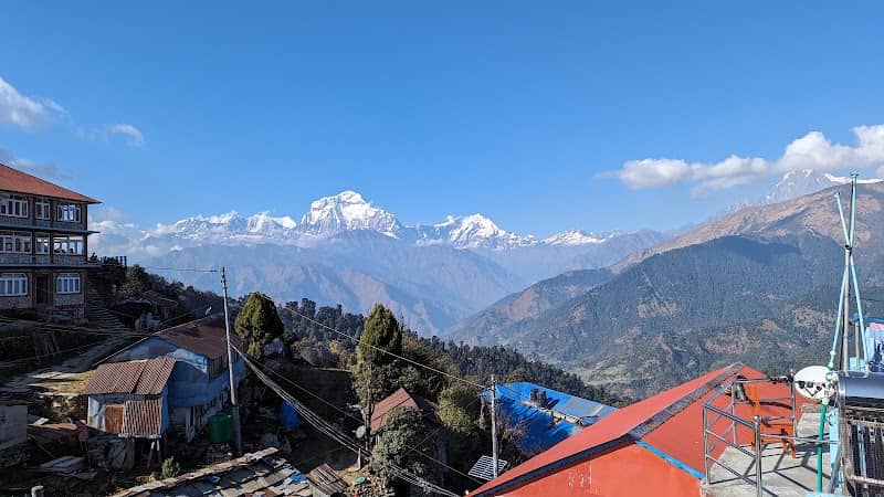 Ghore Pani Bazaar - Image 3