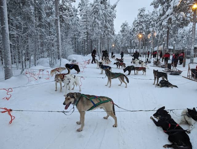 Lapland Husky Safaris - Image 1
