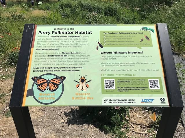 Perry Pollinator Habitat - Image 2