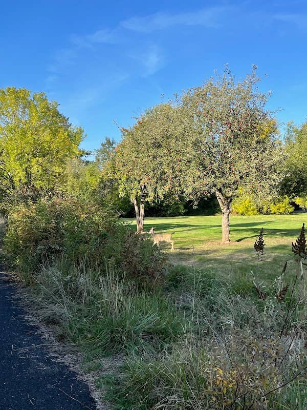 Grass Valley Park - Image 2