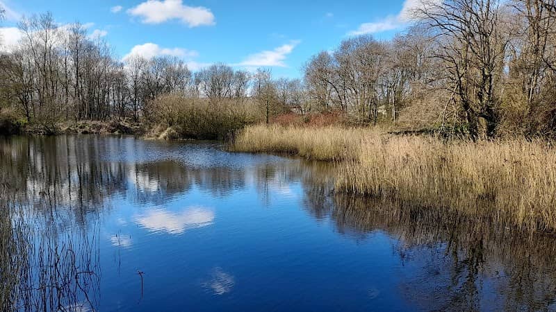 Six Mile Water Park Duck Pond Observation Deck - Image 2