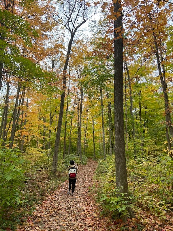 Lions Ring Trail at Whippoorwill - Image 2