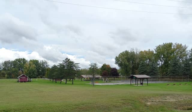 Kingston Park - Image 2