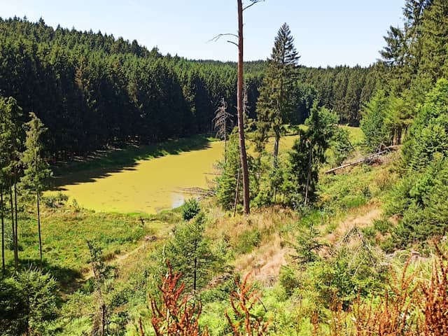 Eglesee - Image 1