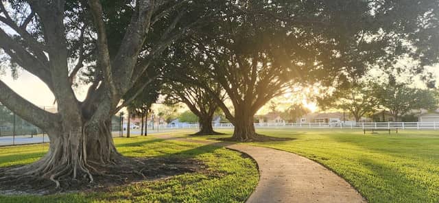 Forest Lake Park - Image 2