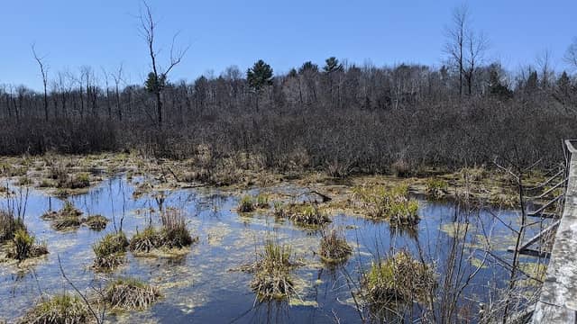 Woodland Dunes State Natural Area - Image 2