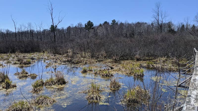 Woodland Dunes State Natural Area - Image 2