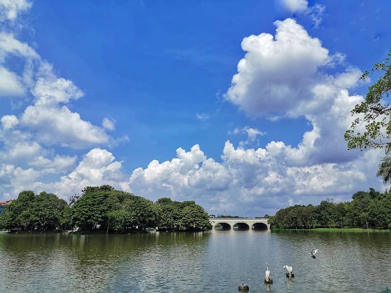 Putrajaya Wetlands Park - Image 3